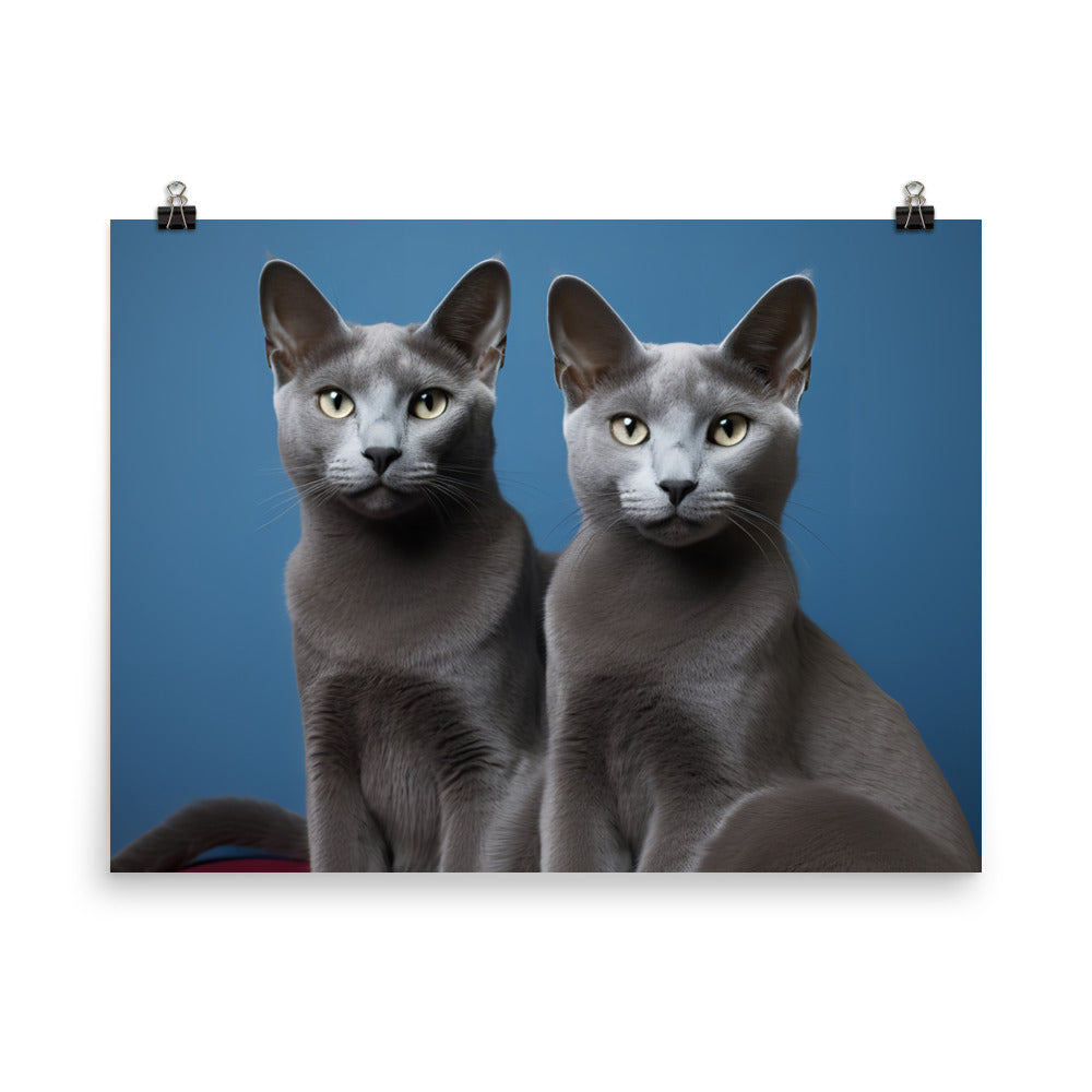 Russian Blue Photo paper poster - PosterfyAI.com