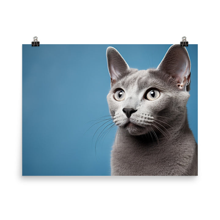 Russian Blue photo paper poster - PosterfyAI.com