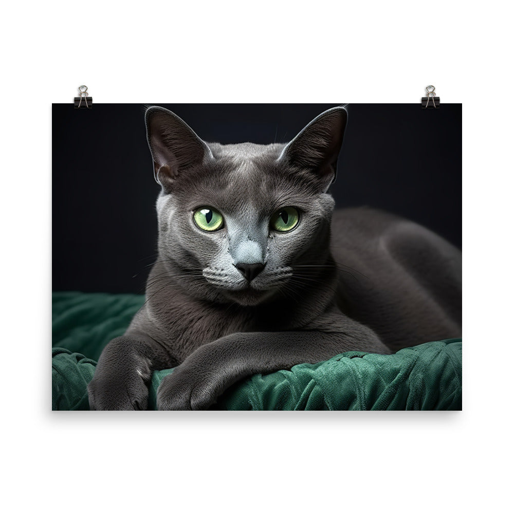 Russian Blue Photo paper poster - PosterfyAI.com