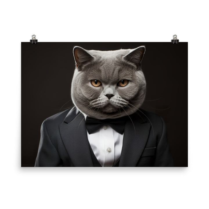 British Shorthair Photo paper poster - PosterfyAI.com