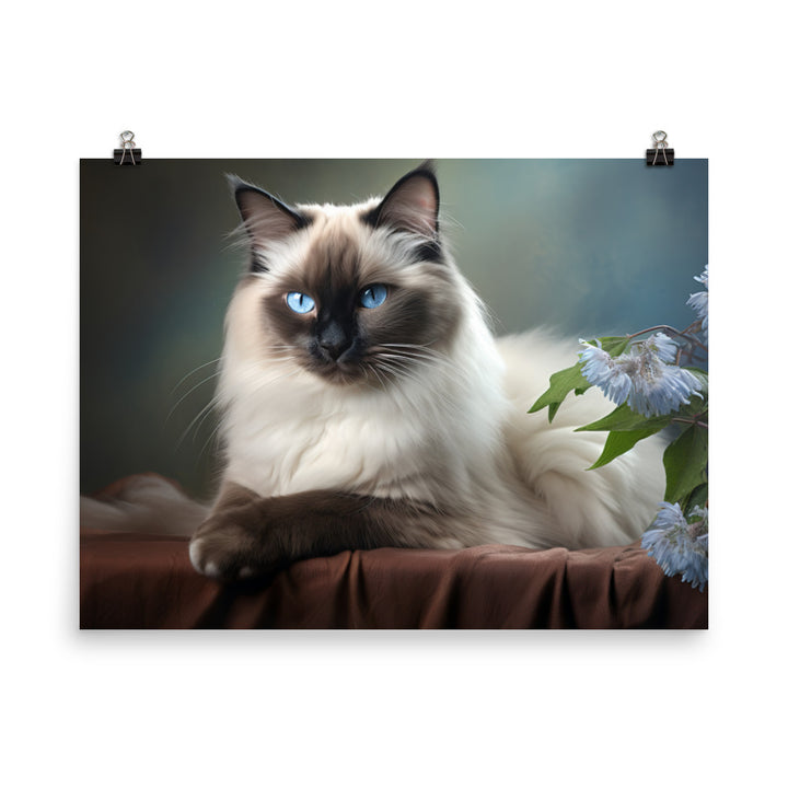 Birman Photo paper poster - PosterfyAI.com