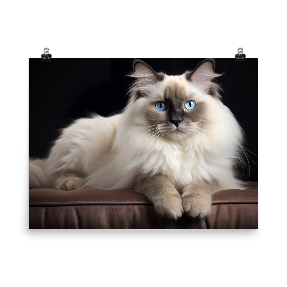 Birman Photo paper poster - PosterfyAI.com