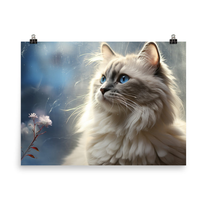 Birman Photo paper poster - PosterfyAI.com