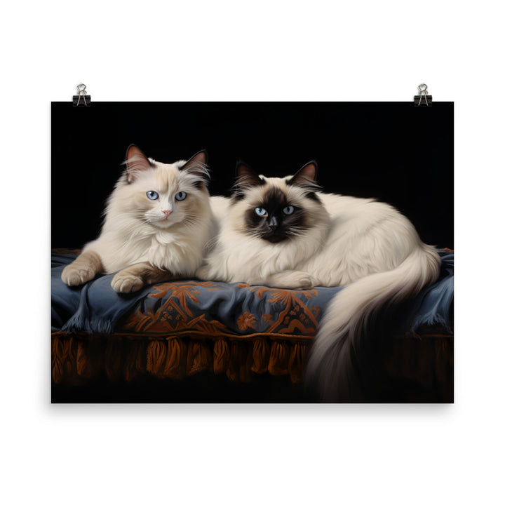 Birman Photo paper poster - PosterfyAI.com