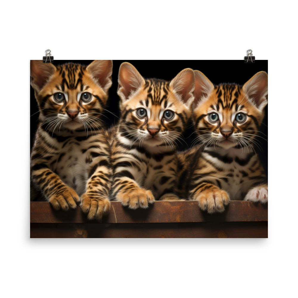 Bengal Photo paper poster - PosterfyAI.com