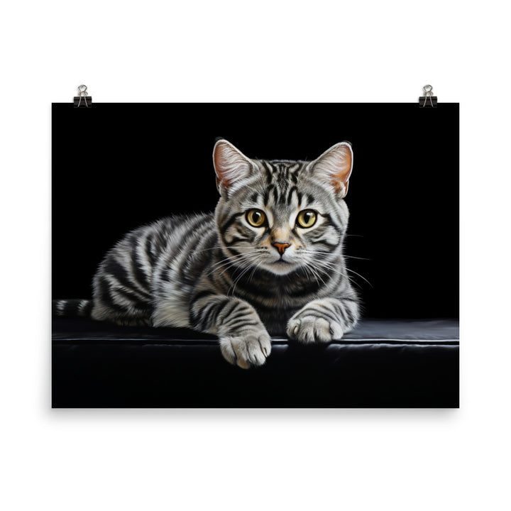 American Shorthair Photo paper poster - PosterfyAI.com