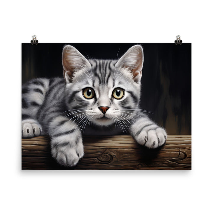 American Shorthair Photo paper poster - PosterfyAI.com