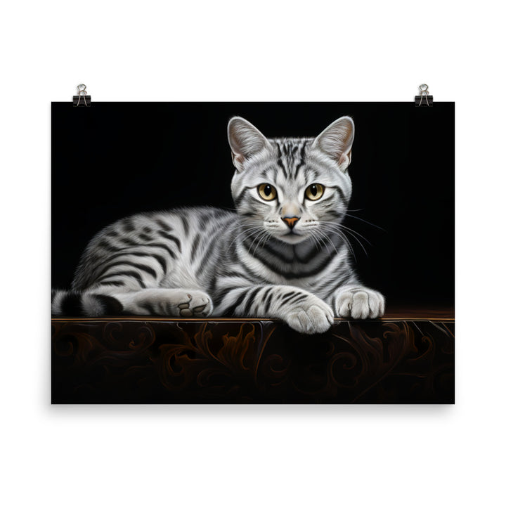 American Shorthair Photo paper poster - PosterfyAI.com