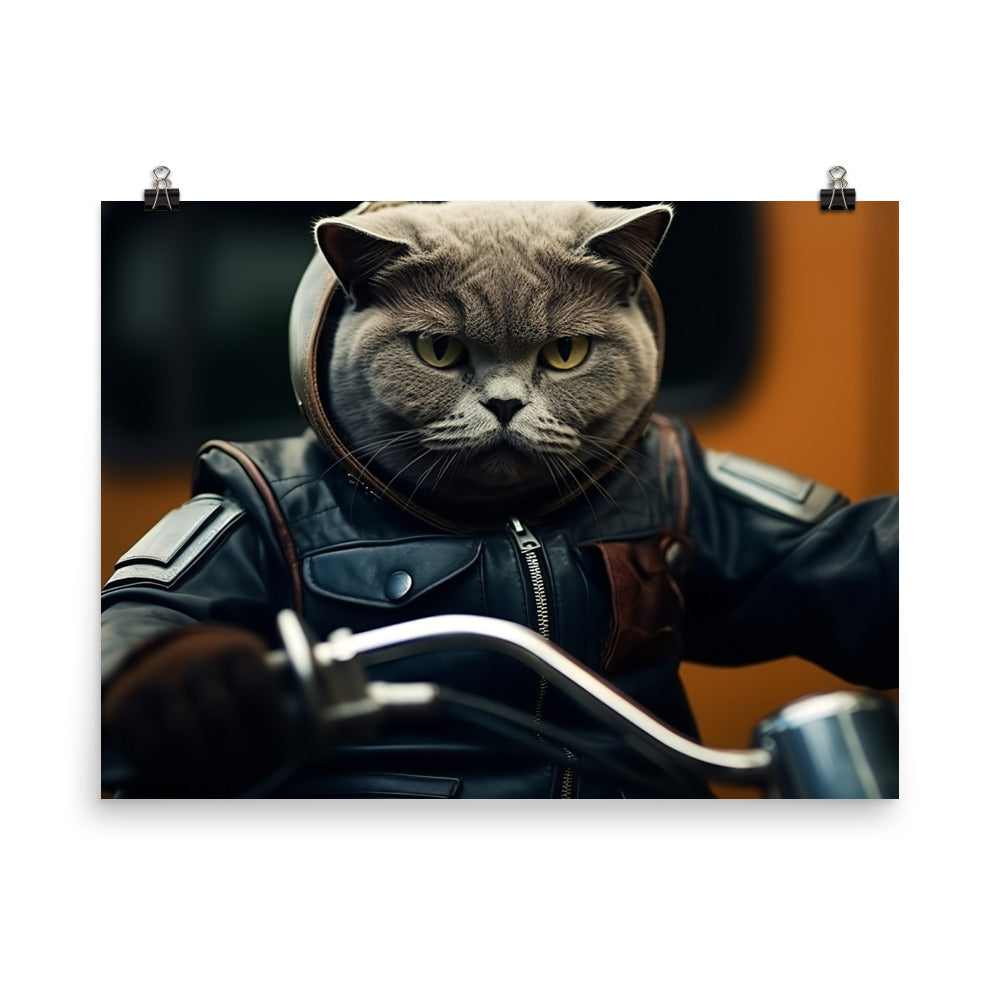 British Shorthair Superbike Athlete Photo paper poster - PosterfyAI.com