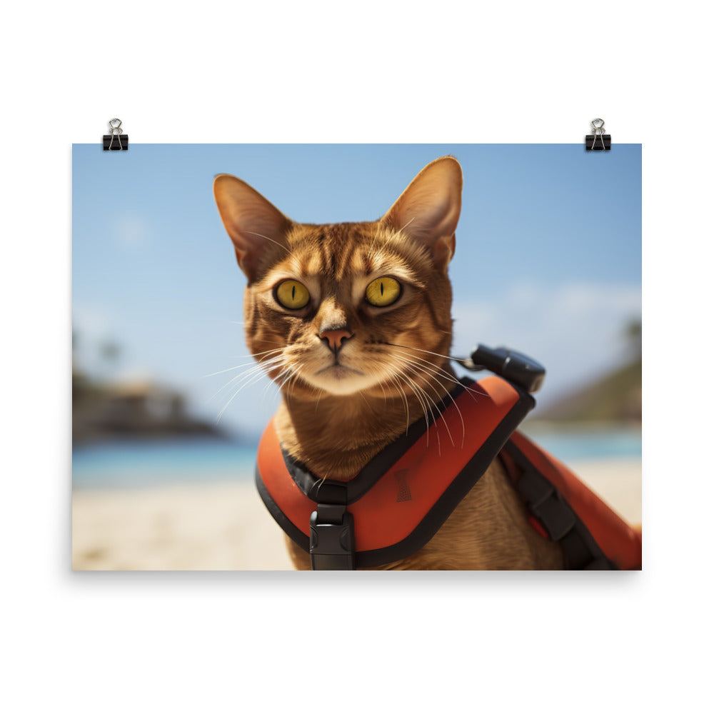 Abyssinian Lifeguard Photo paper poster - PosterfyAI.com