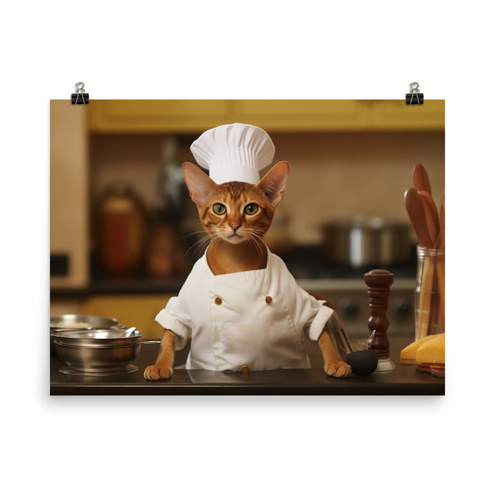 Abyssinian Chef Photo paper poster - PosterfyAI.com