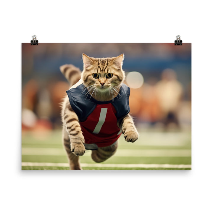 Scottish Fold Football Player Photo paper poster - PosterfyAI.com