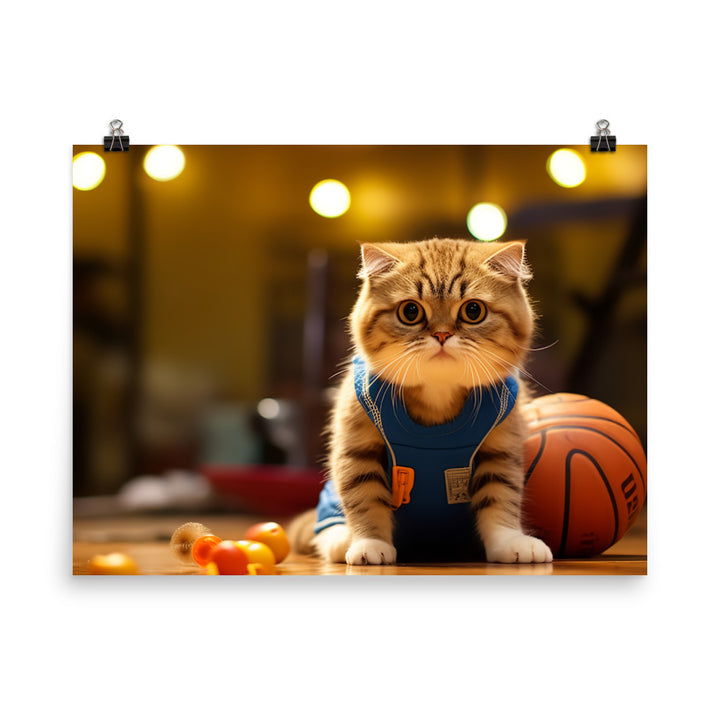 Scottish Fold Basketball Player Photo paper poster - PosterfyAI.com