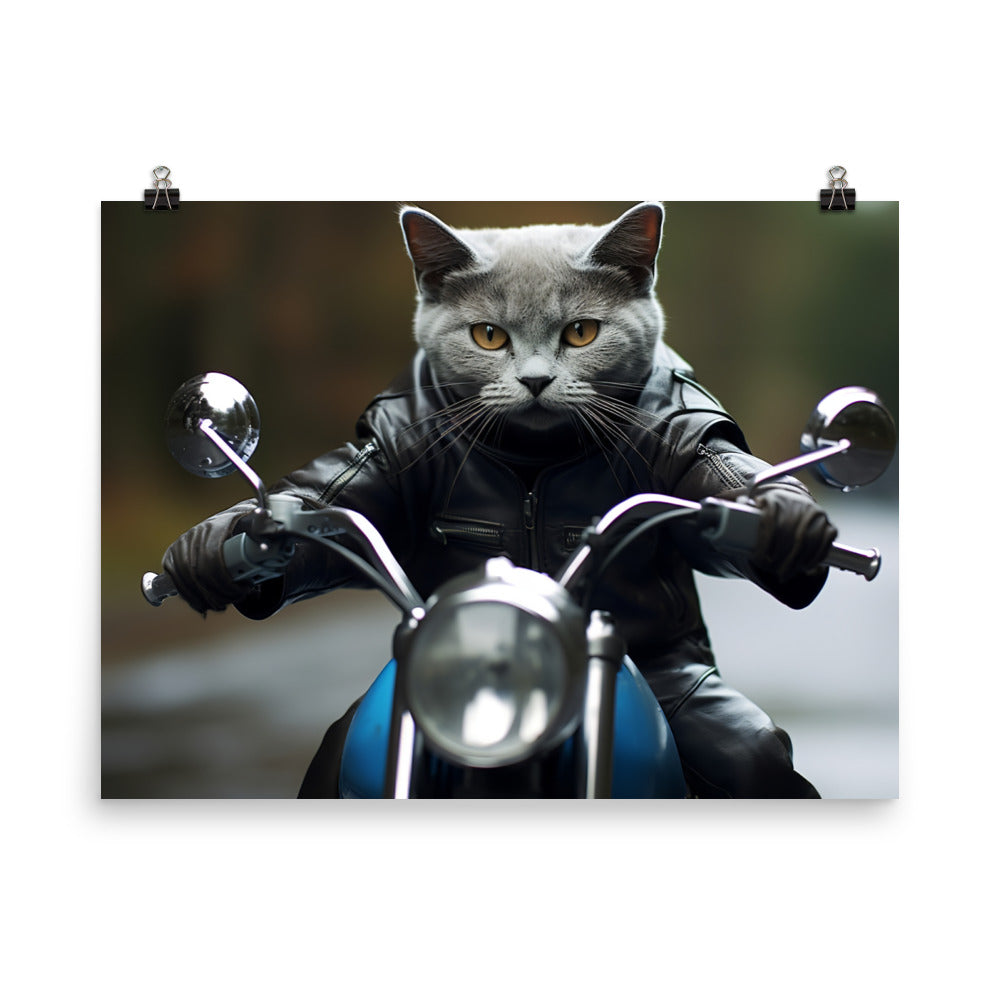 Russian Blue Superbike Athlete Photo paper poster - PosterfyAI.com