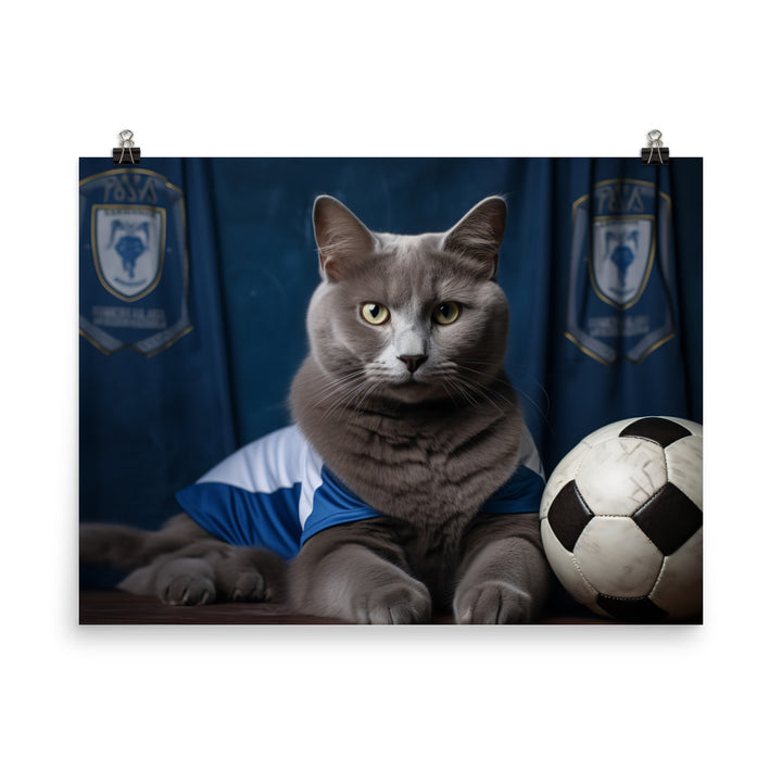 Russian Blue Football Player Photo paper poster - PosterfyAI.com