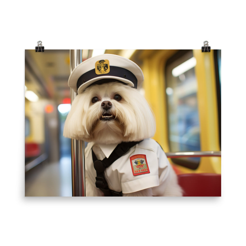 Lhasa Apso Transit Operator Photo paper poster - PosterfyAI.com