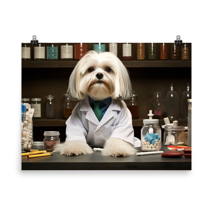 Lhasa Apso Pharmacist Photo paper poster - PosterfyAI.com