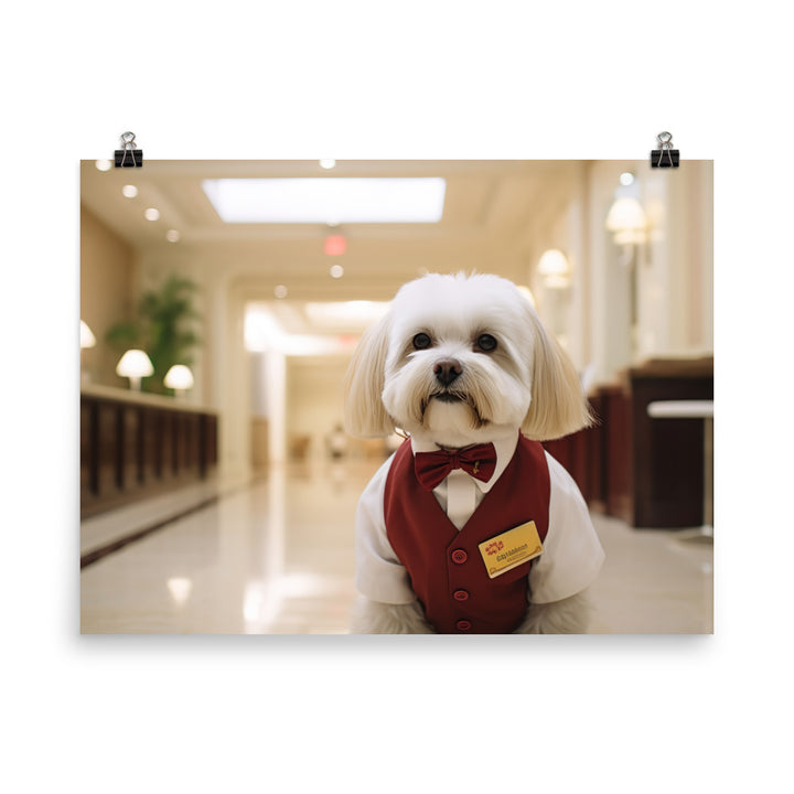 Lhasa Apso Hotel Staff Photo paper poster - PosterfyAI.com