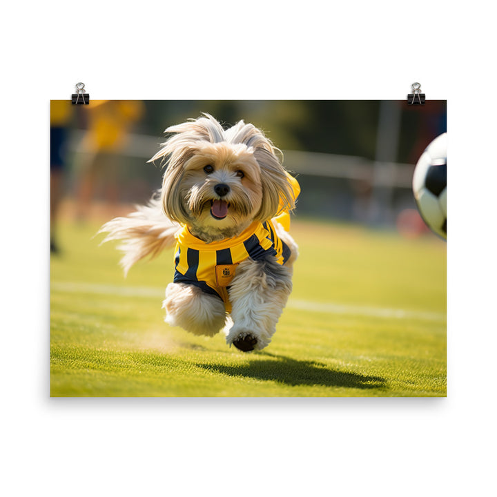 Lhasa Apso Football Player Photo paper poster - PosterfyAI.com