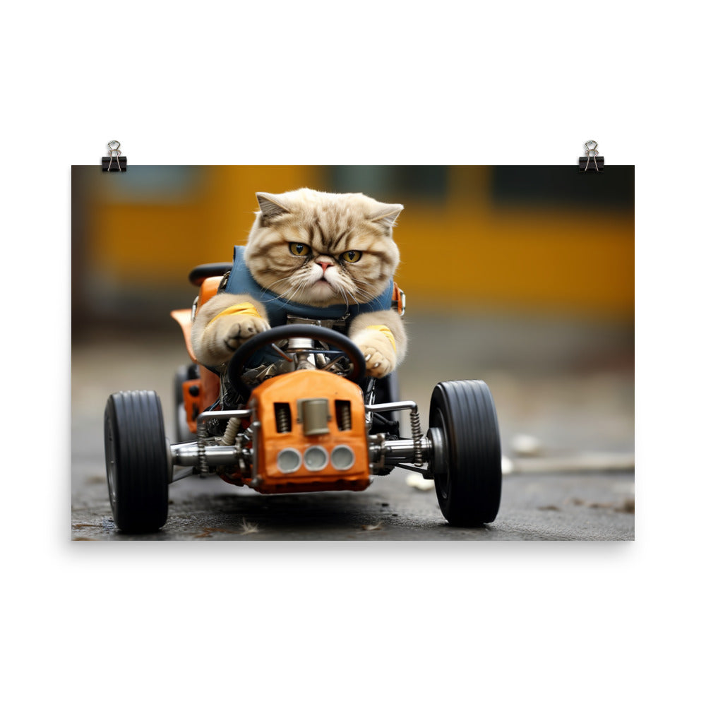 Exotic Shorthair Motorsport Athlete Photo paper poster - PosterfyAI.com