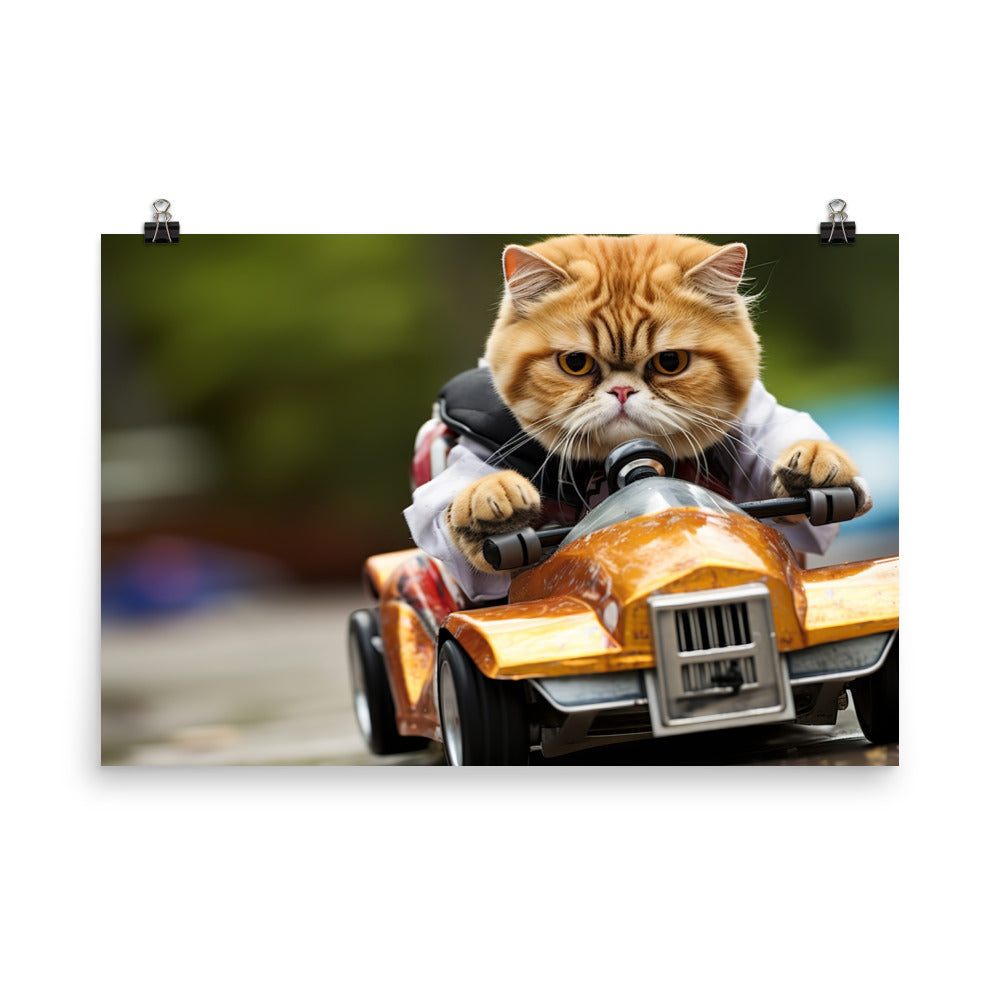 Exotic Shorthair Motorsport Athlete Photo paper poster - PosterfyAI.com