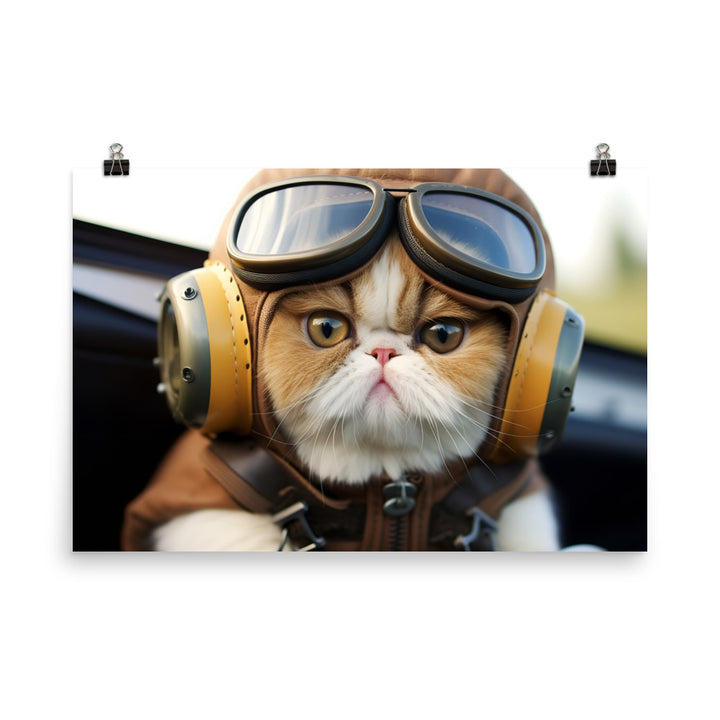 Exotic Shorthair Pilot Photo paper poster - PosterfyAI.com