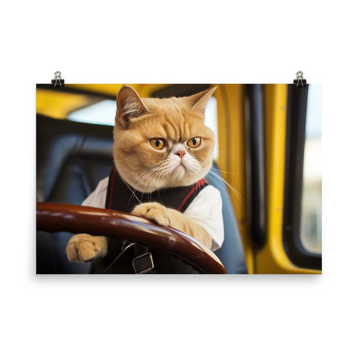 Exotic Shorthair Transit Operator Photo paper poster - PosterfyAI.com