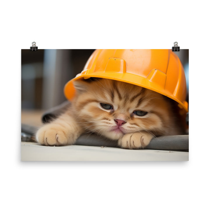 Exotic Shorthair Contractor Photo paper poster - PosterfyAI.com