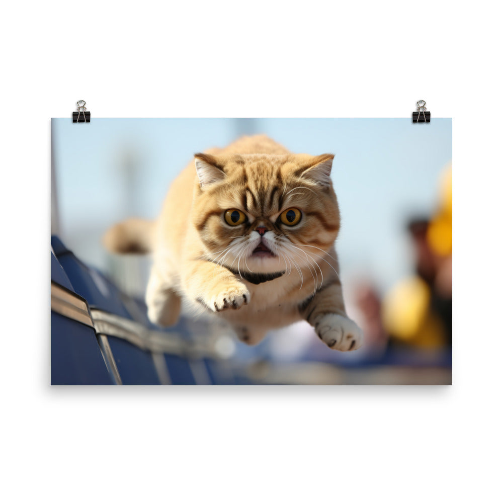 Exotic Shorthair Photo paper poster - PosterfyAI.com