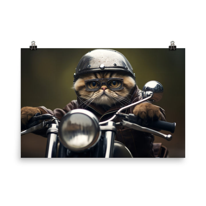 Exotic Shorthair Superbike Athlete paper poster - PosterfyAI.com