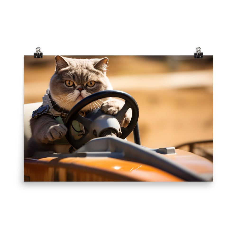 Exotic Shorthair Motorsport Athlete Photo paper poster - PosterfyAI.com