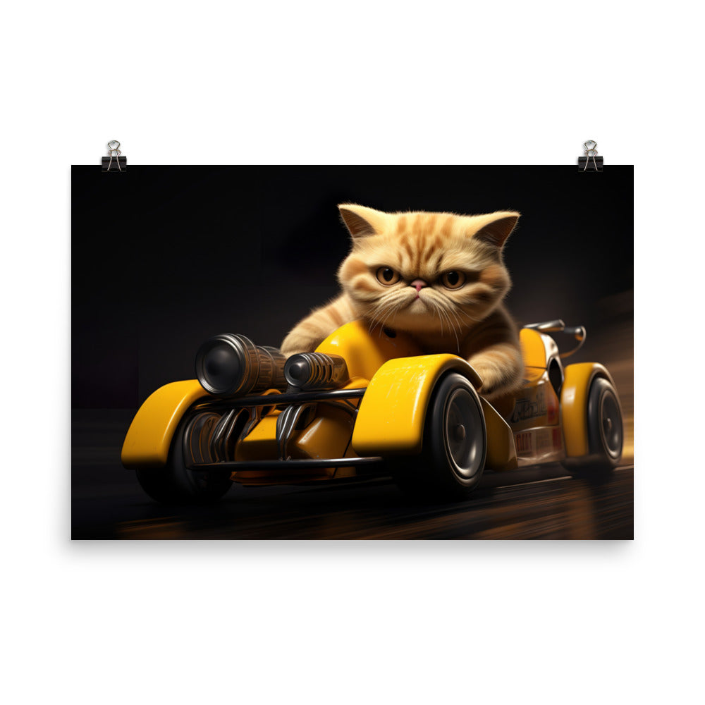 Exotic Shorthair Motorsport Athlete Photo paper poster - PosterfyAI.com