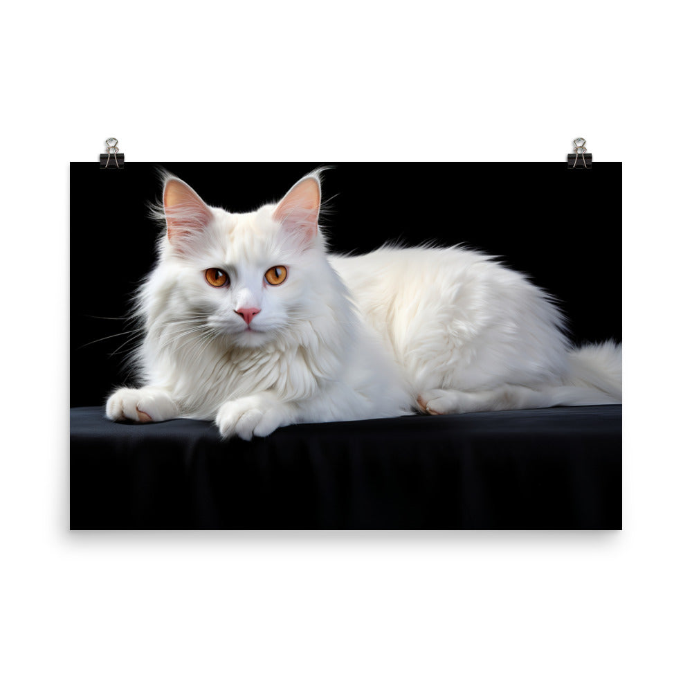 Turkish Van Photo paper poster - PosterfyAI.com