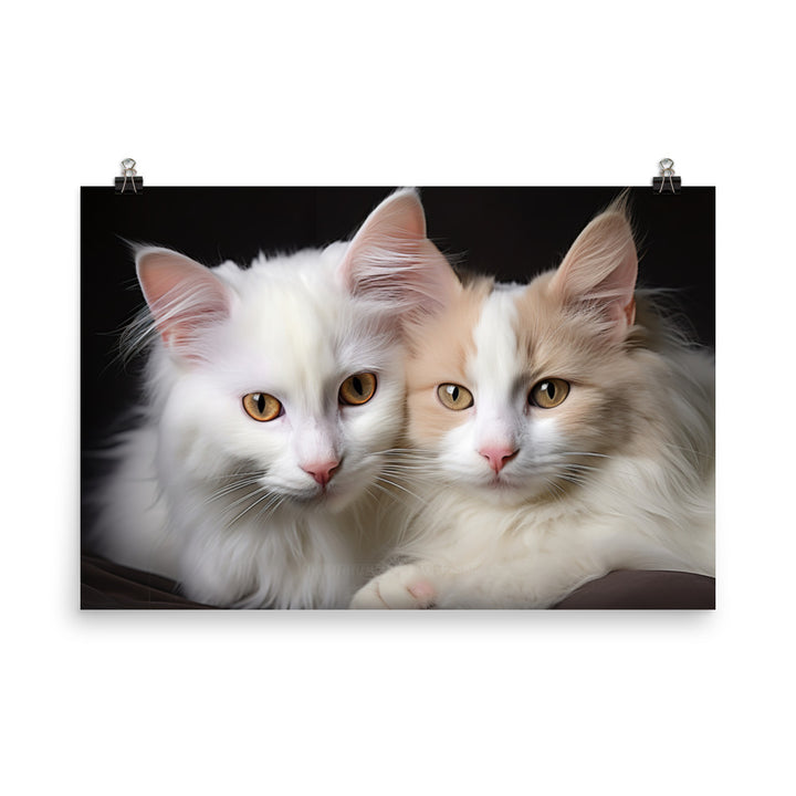 Turkish Van Photo paper poster - PosterfyAI.com