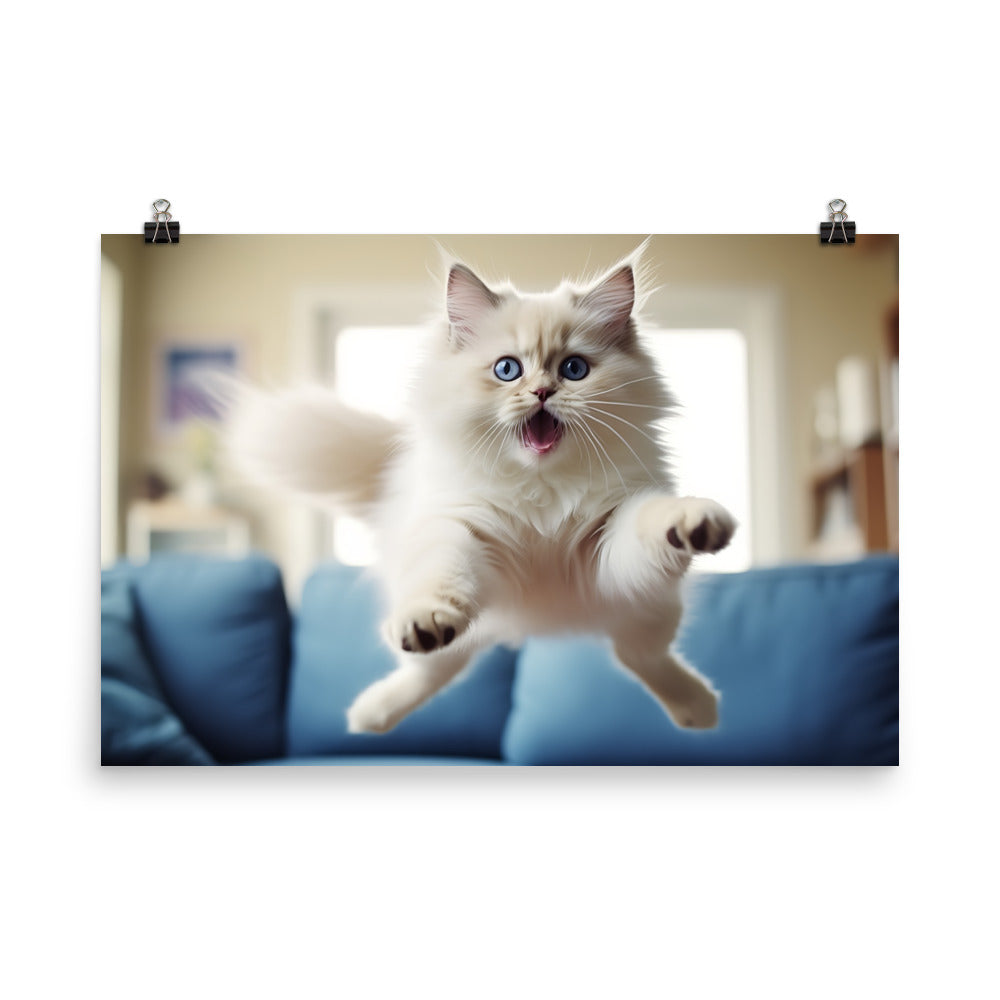 Ragdoll Photo paper poster - PosterfyAI.com