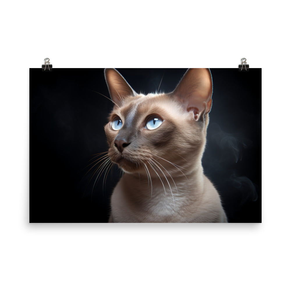 Tonkinese Photo paper poster - PosterfyAI.com