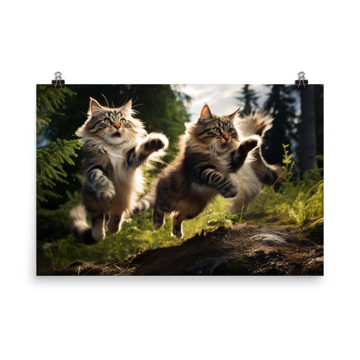 Norwegian Forest Photo paper poster - PosterfyAI.com