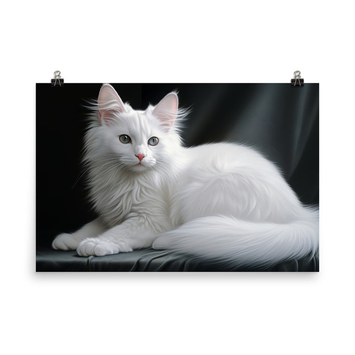 Turkish Angora Photo paper poster - PosterfyAI.com