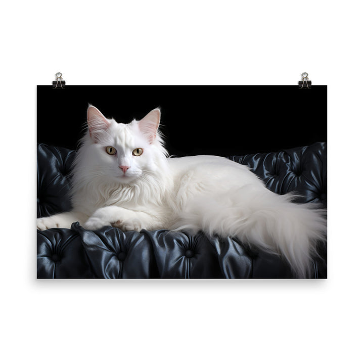 Turkish Angora Photo paper poster - PosterfyAI.com