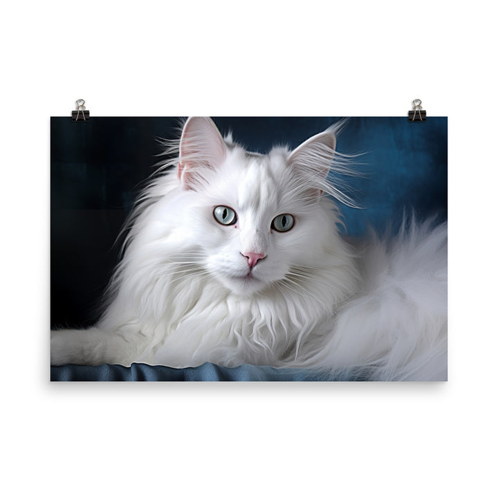 Turkish Angora Photo paper poster - PosterfyAI.com