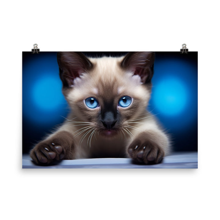 Siamese Photo paper poster - PosterfyAI.com