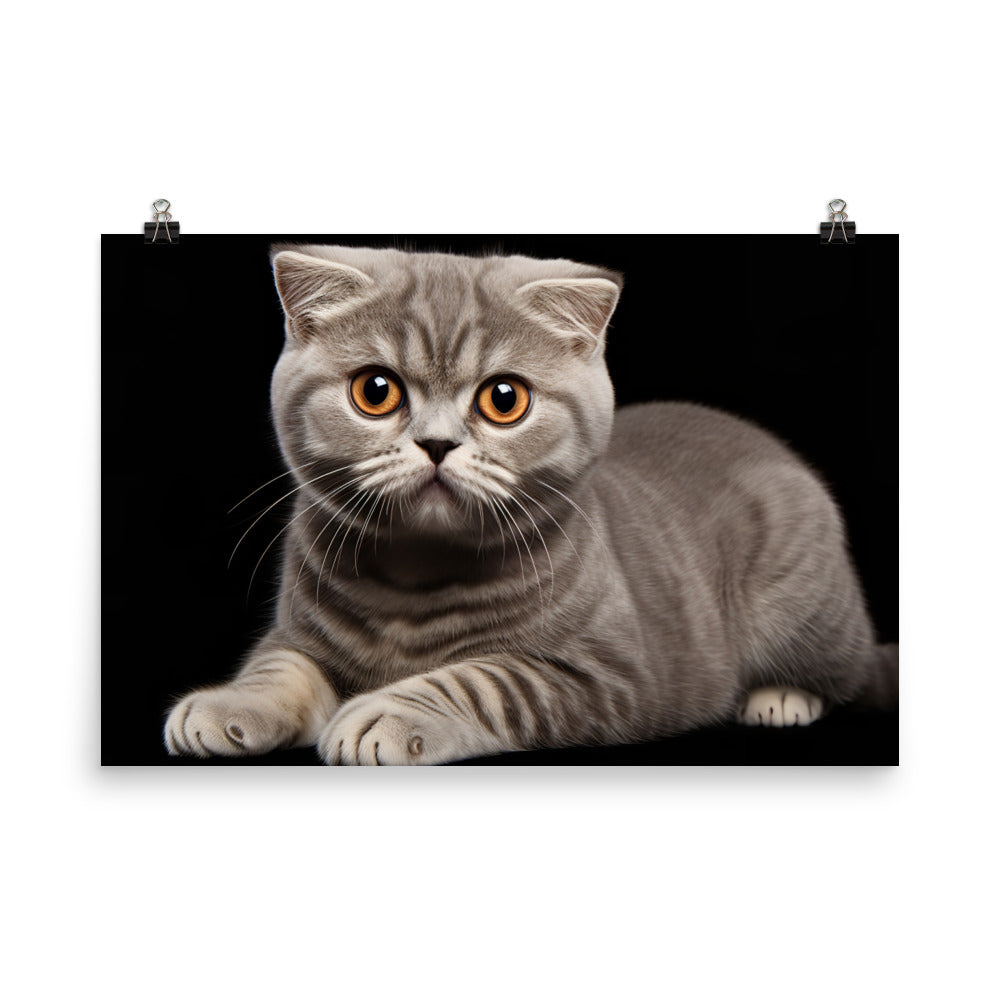 Scottish Fold Photo paper poster - PosterfyAI.com