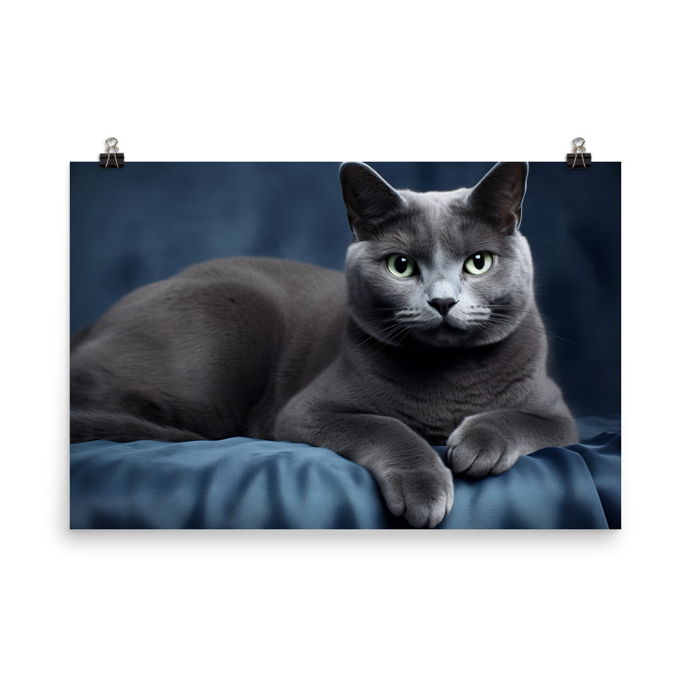 Russian Blue Photo paper poster - PosterfyAI.com