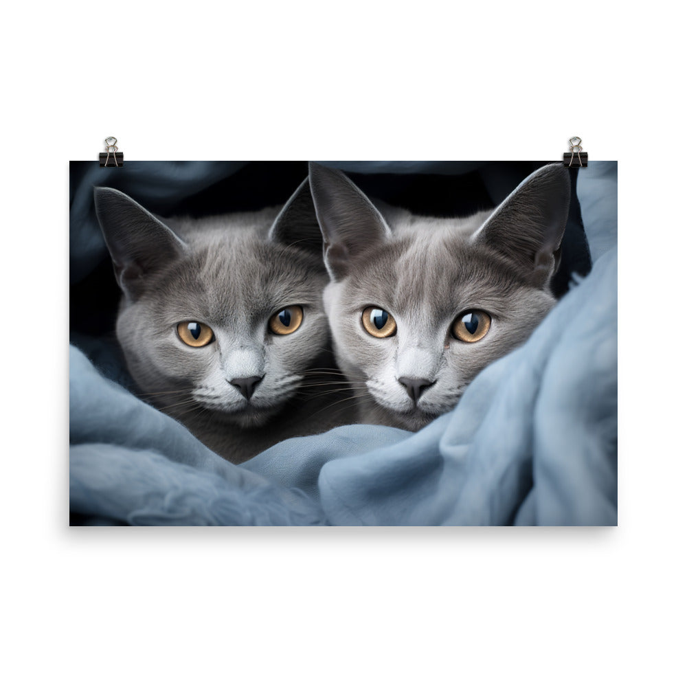 Russian Blue Photo paper poster - PosterfyAI.com