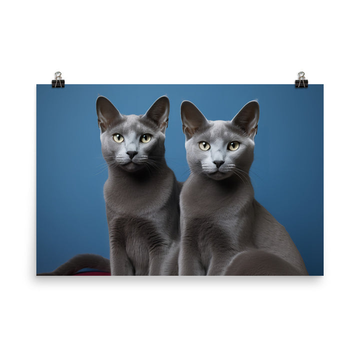 Russian Blue Photo paper poster - PosterfyAI.com