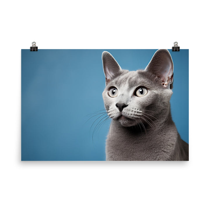 Russian Blue photo paper poster - PosterfyAI.com