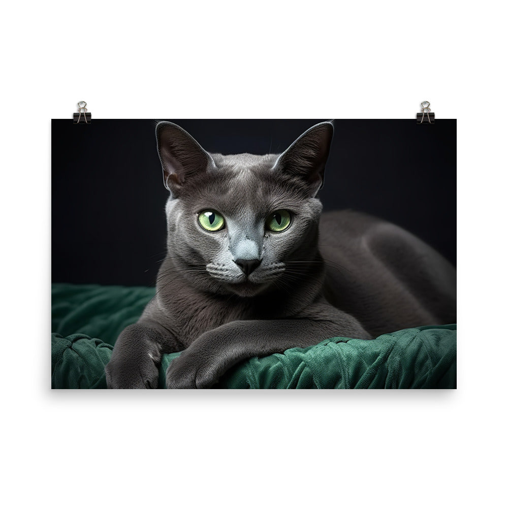 Russian Blue Photo paper poster - PosterfyAI.com