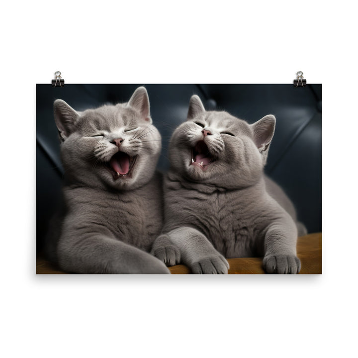 British Shorthair Photo paper poster - PosterfyAI.com