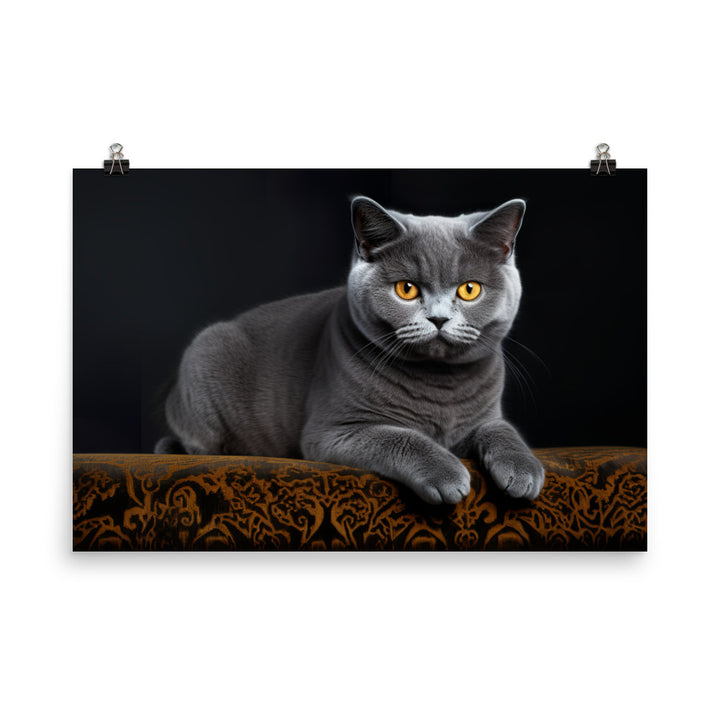 British Shorthair Photo paper poster - PosterfyAI.com