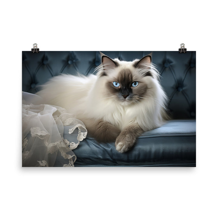 Birman Photo paper poster - PosterfyAI.com